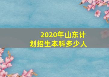 2020年山东计划招生本科多少人