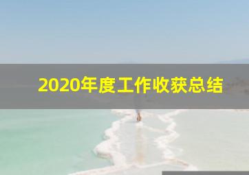 2020年度工作收获总结