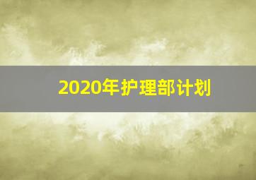 2020年护理部计划