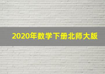 2020年数学下册北师大版