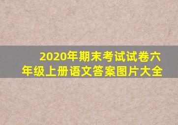 2020年期末考试试卷六年级上册语文答案图片大全