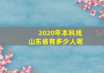 2020年本科线山东省有多少人呢