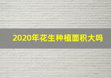 2020年花生种植面积大吗