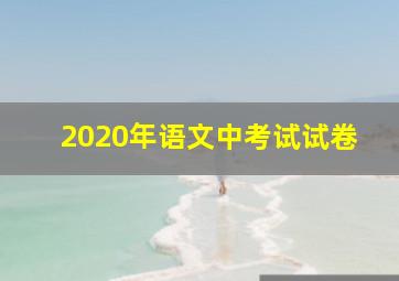 2020年语文中考试试卷