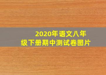 2020年语文八年级下册期中测试卷图片