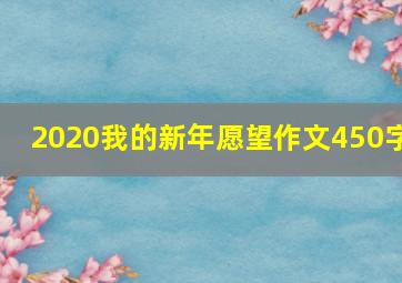 2020我的新年愿望作文450字