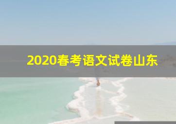 2020春考语文试卷山东