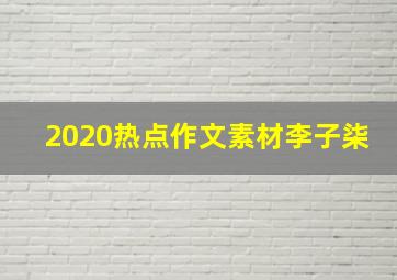 2020热点作文素材李子柒