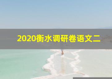 2020衡水调研卷语文二