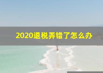 2020退税弄错了怎么办