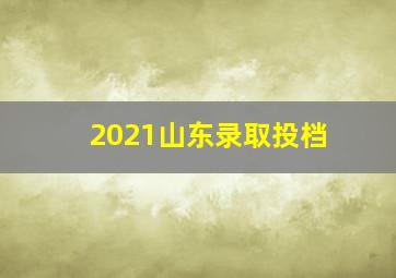 2021山东录取投档