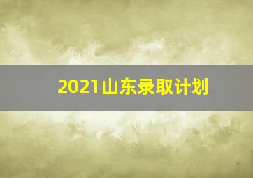 2021山东录取计划