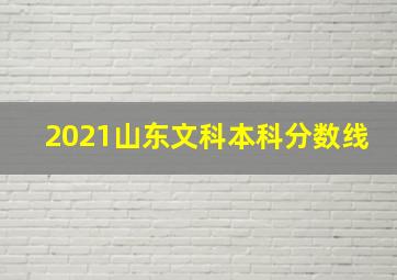 2021山东文科本科分数线