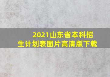 2021山东省本科招生计划表图片高清版下载