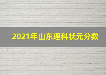 2021年山东理科状元分数