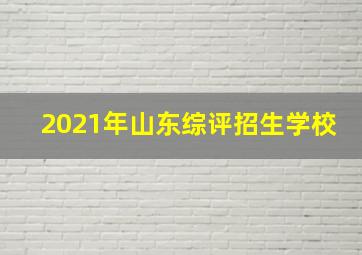 2021年山东综评招生学校