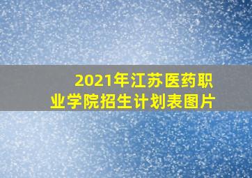 2021年江苏医药职业学院招生计划表图片