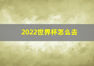 2022世界杯怎么去