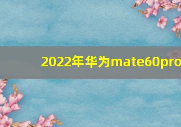 2022年华为mate60pro