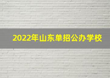 2022年山东单招公办学校