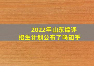 2022年山东综评招生计划公布了吗知乎