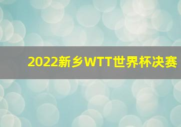 2022新乡WTT世界杯决赛