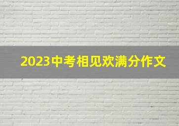 2023中考相见欢满分作文