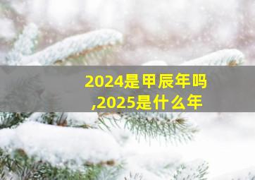 2024是甲辰年吗,2025是什么年