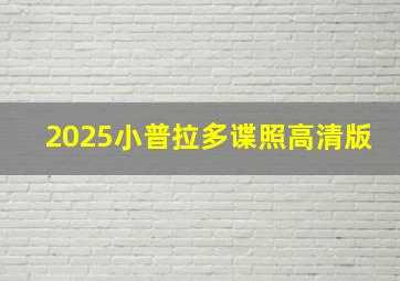 2025小普拉多谍照高清版