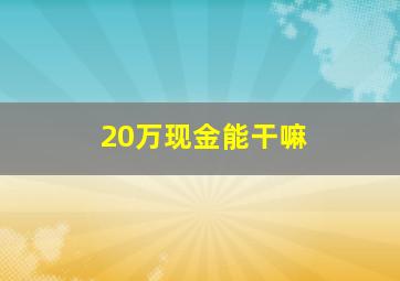 20万现金能干嘛