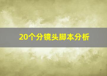 20个分镜头脚本分析