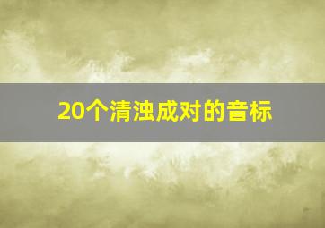 20个清浊成对的音标