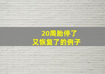 20周胎停了又恢复了的例子