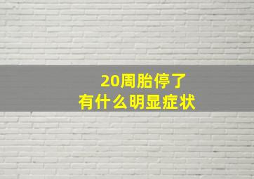 20周胎停了有什么明显症状