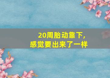 20周胎动靠下,感觉要出来了一样