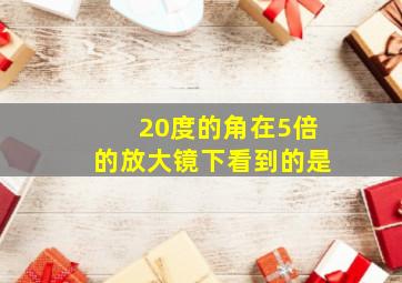 20度的角在5倍的放大镜下看到的是