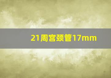 21周宫颈管17mm