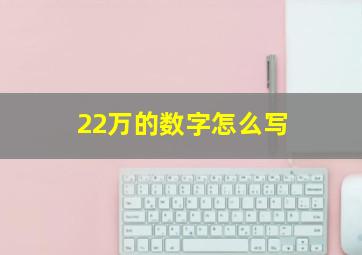 22万的数字怎么写