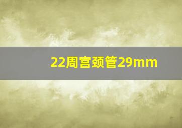 22周宫颈管29mm