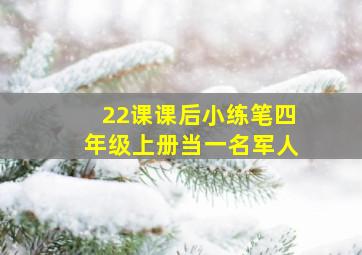 22课课后小练笔四年级上册当一名军人