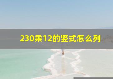 230乘12的竖式怎么列