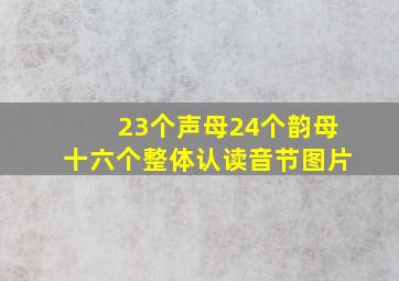 23个声母24个韵母十六个整体认读音节图片