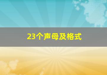 23个声母及格式