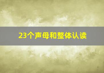 23个声母和整体认读