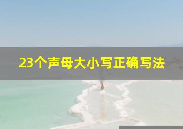 23个声母大小写正确写法