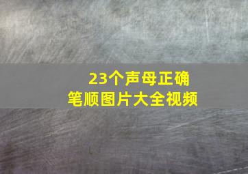 23个声母正确笔顺图片大全视频