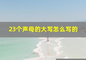 23个声母的大写怎么写的