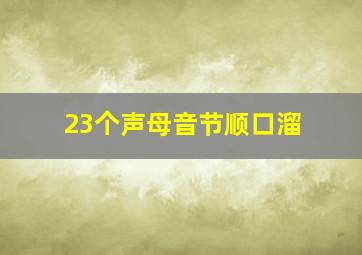 23个声母音节顺口溜