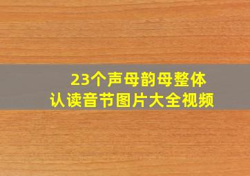 23个声母韵母整体认读音节图片大全视频