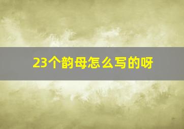 23个韵母怎么写的呀